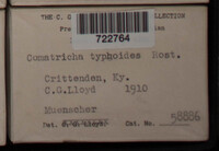 Image Associated With the Occurence